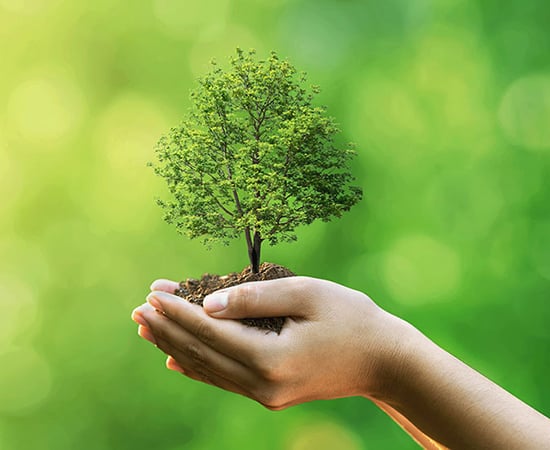 Corporate social responsibility