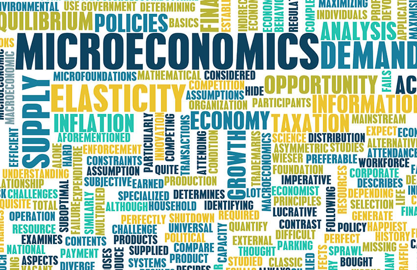 flexed-course-principles-of-microeconomics-large-image