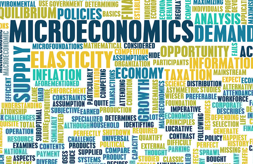 flexed-course-principles-of-microeconomics-large-image