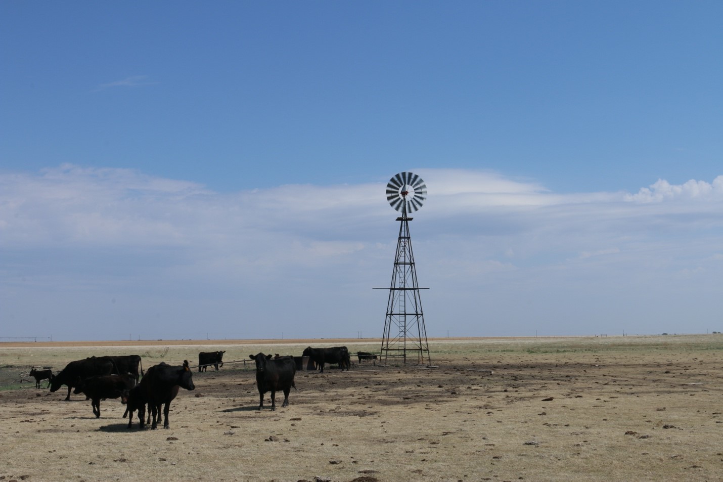 texas-panhandle-summer-2019_Erica-Irlbeck