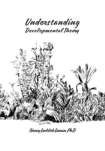 Understanding Developmental Theory