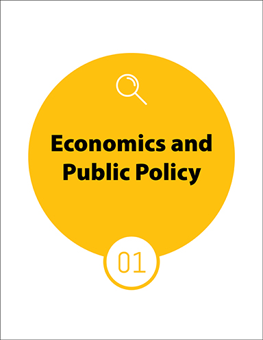 Economics and Public Policy